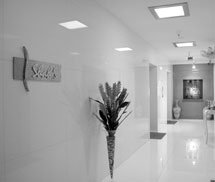 Lifestyle & Interior - 02